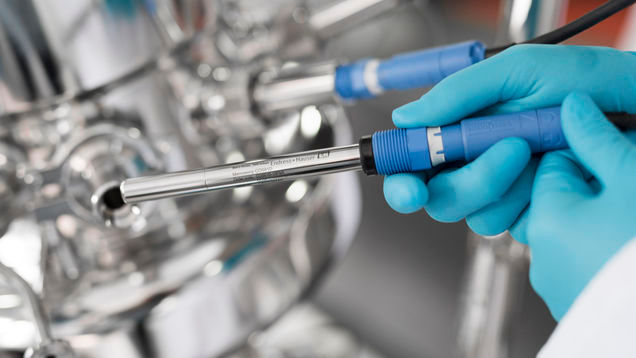 The sensor is designed according to ASME BPE and EHEDG.