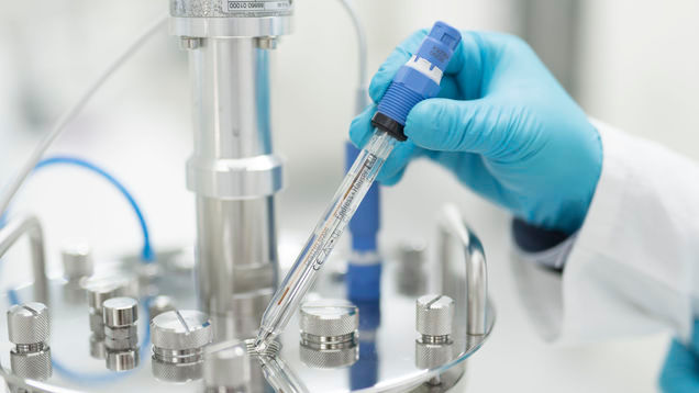 Memosens CPS171D stores all necessary process and sensor data in its Memosens plug head.