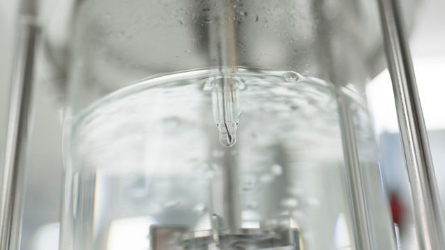 The Memosens CPS171D pH sensor is accurate and stable over various batch cycles.